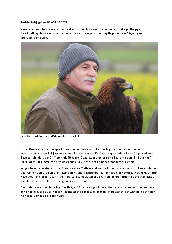 pdf-preview